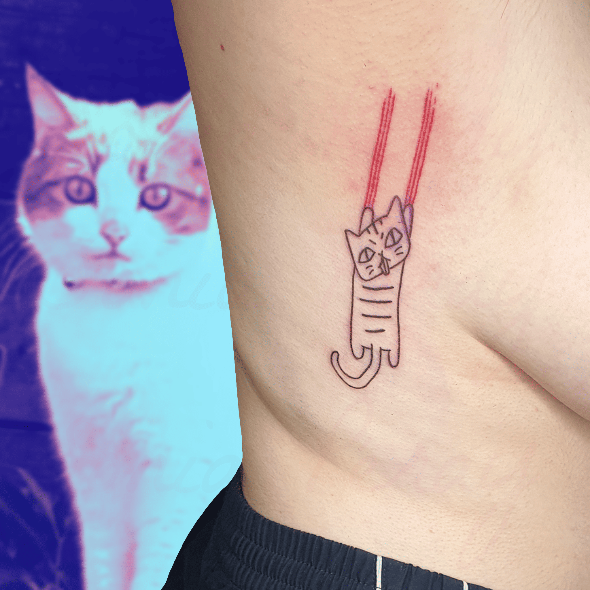 Tatouage d'un chat qui griffe la peau en s'y accrochant, sur les côtes